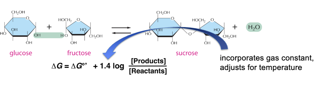 <p>ΔG<sup>o</sup>’ measured under defined “standard conditions”: all products and reactants are 1 M, pH=7</p><p>ΔG<sup>o</sup>’ is specific to each reaction</p>