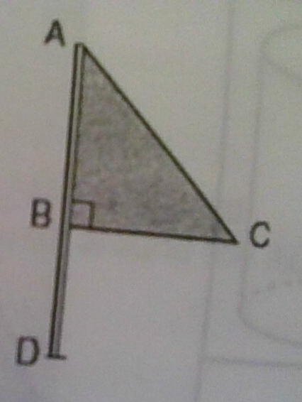 <p>Triangle ABC represents a metal flag on pole AD, as shown in the accompanying diagram. On a windy day the triangle spins around the pole so fast that it looks like a three dimensional shape.</p><p>What shape would the spinning flag create?</p>