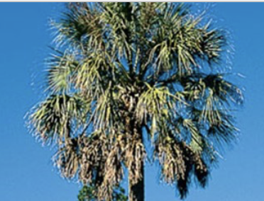 <p>What is this?</p>