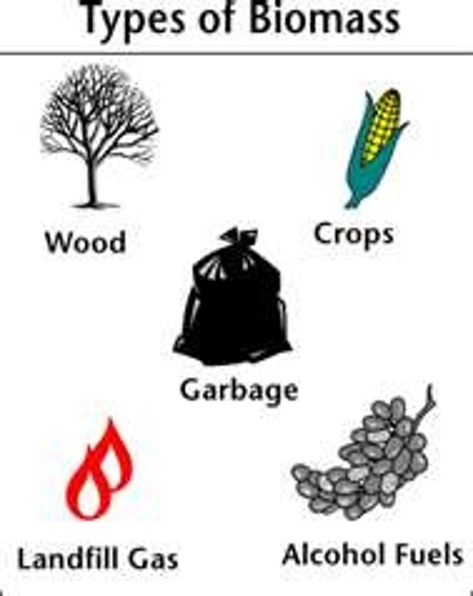 <p>The chemical energy stored in living things.</p>