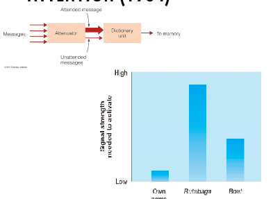 <p>Attenuator analyzes messages on: Physical characteristics, Language, Meaning </p><p>Acts as a volume knob: Volume for unattended message is low, volume for attended message is high</p><p>Dictionary unit: Threshold (Familiar words have a low threshold, which means they can be noticed earlier. Nonfamiliar words have high thresholds, which means it is not recognizable and needs to be in attended channel to make it through) </p><p>Also an early selection theory, but some of the unattended message gets through</p>