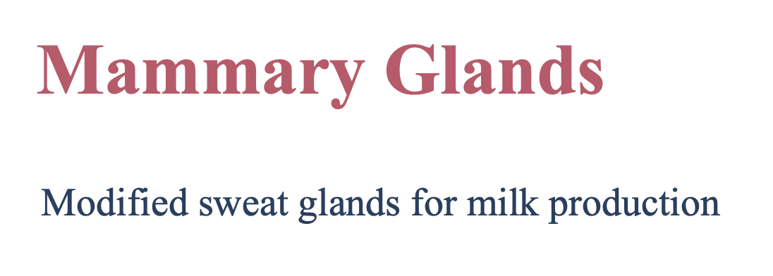 <p><strong>Modified </strong>sweat glands</p>
