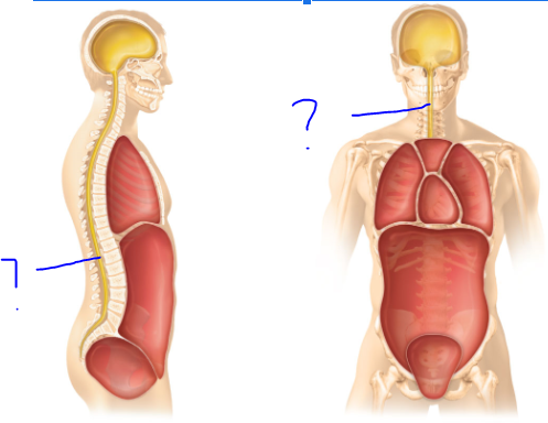 <p>(?)</p>