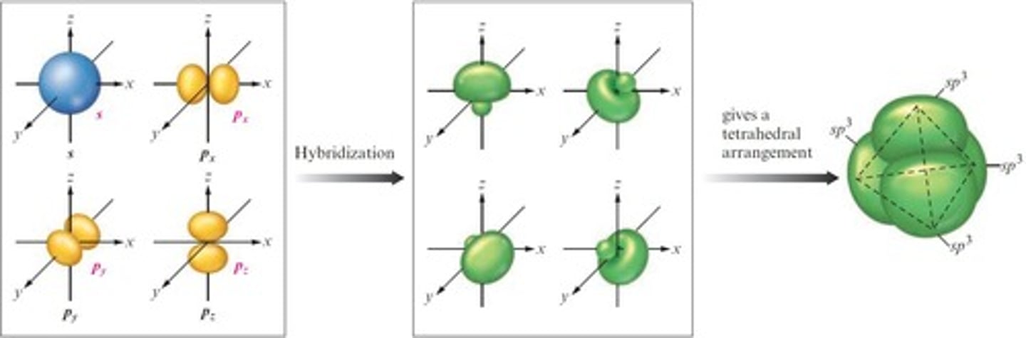 <p>The mixing of native atomic orbitals to form special orbitals for bonding, depending on the electron pair arrangement of the central atom.</p>