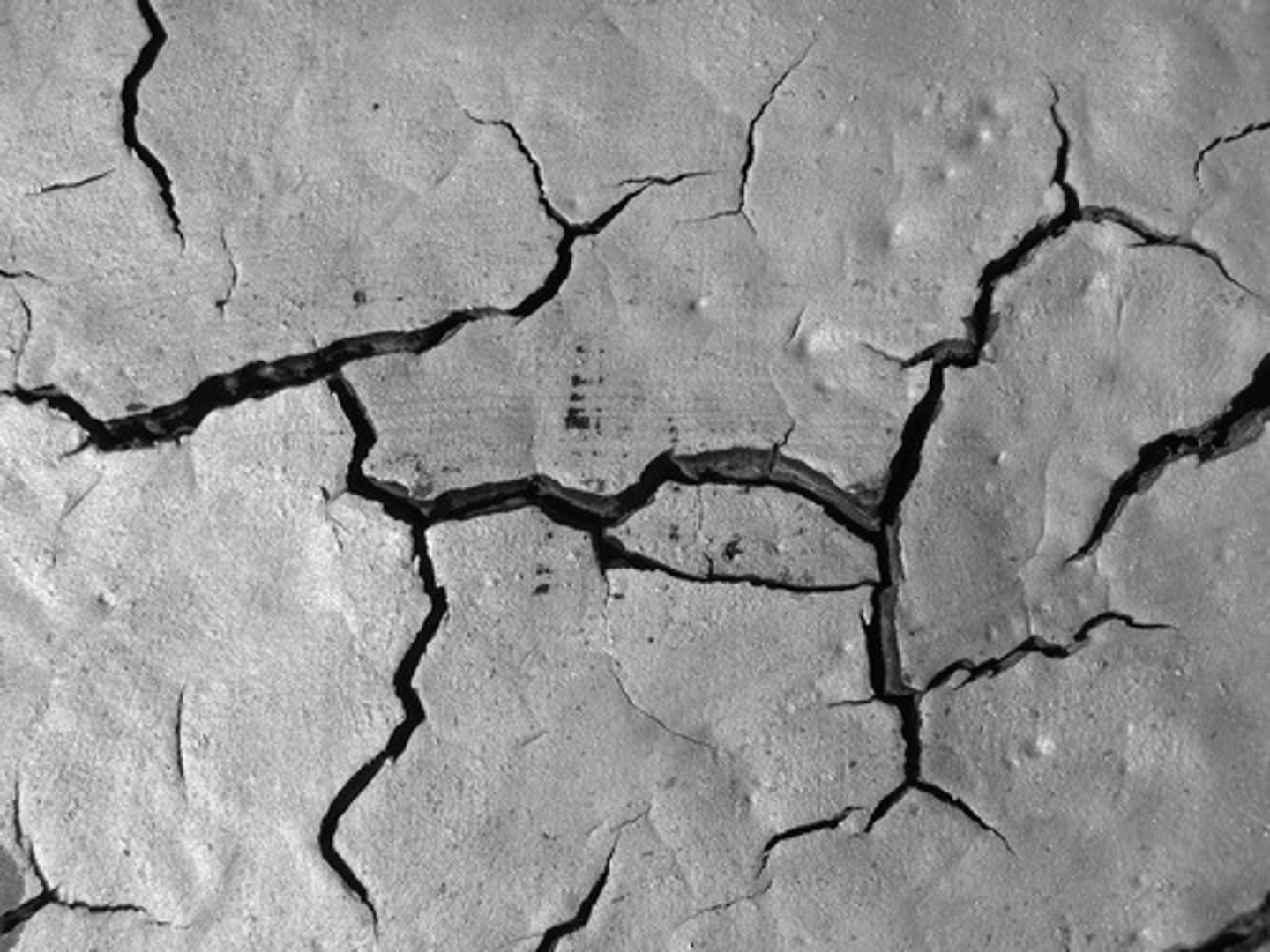 <p>agrietados</p>