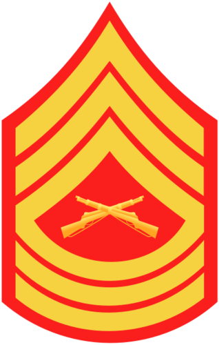<p>E-8: 3 Chevrons, 3 Rockers, Crossed Rifles</p>