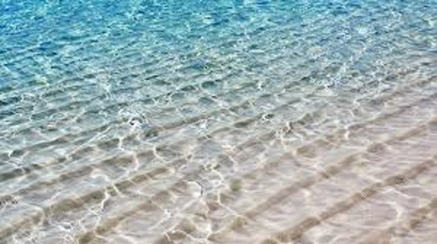 <p>Clear; transparent; readily understood</p>