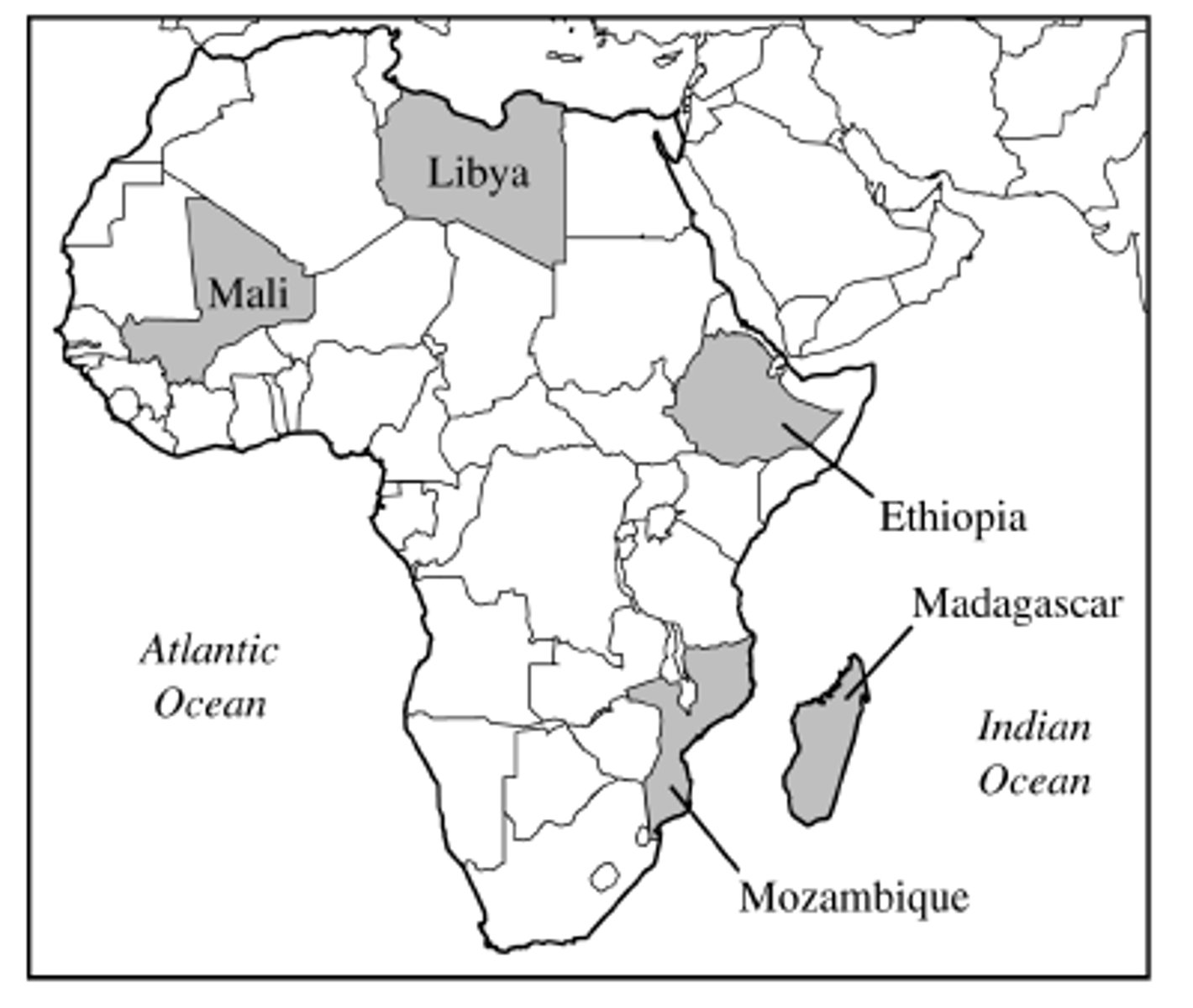 <p>C neocolonialism</p>