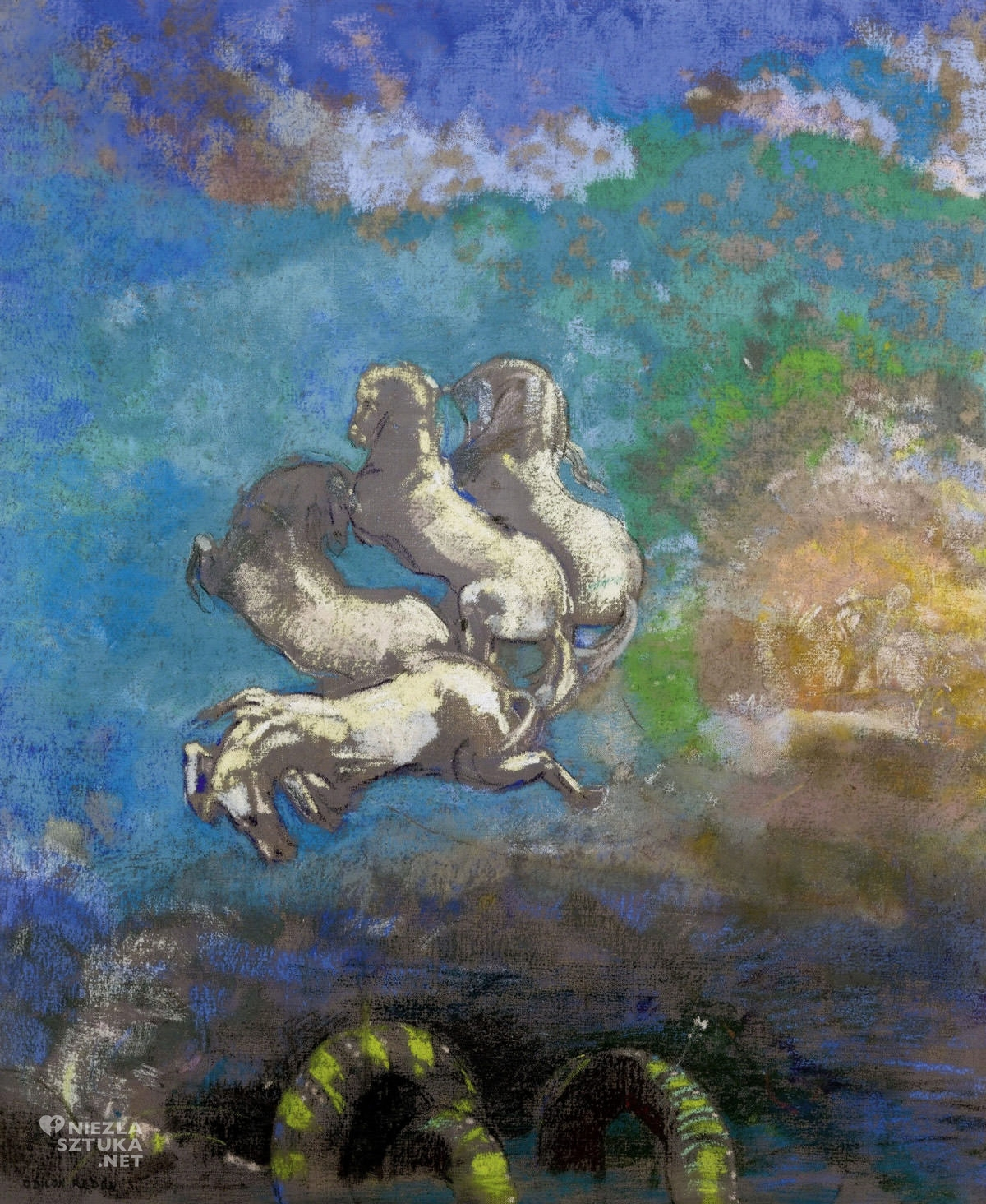 term image