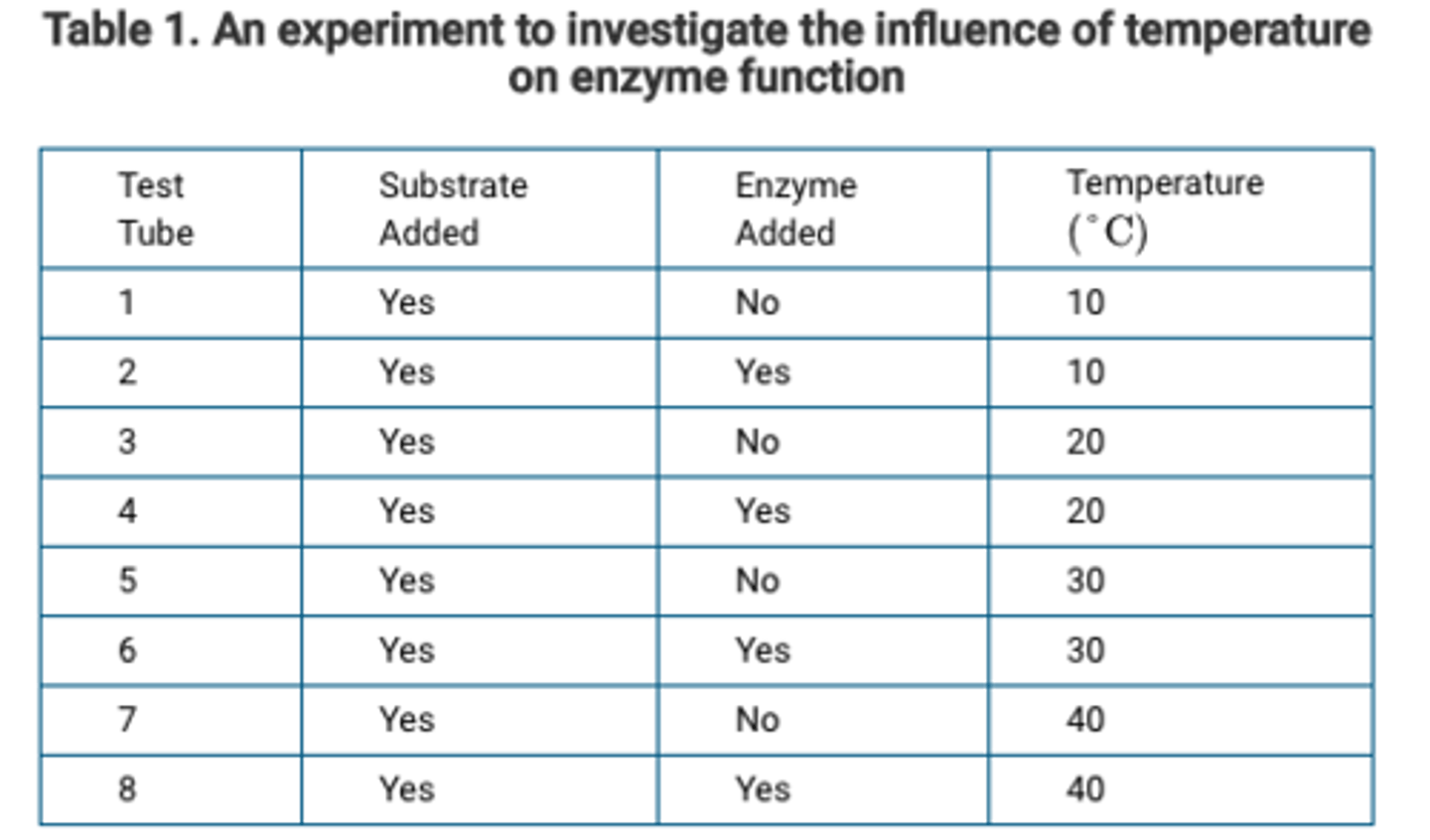 <p><span>A student designs an experiment to investigate the influence of temperature on enzyme function. The student’s plan is presented in Table&nbsp;1. </span>Which test tubes are controls in the experiment?</p>