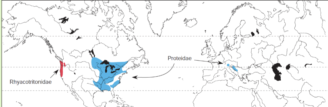 <p><span>Eastern United States and Canada, east coast of Adriatic Sea</span></p>