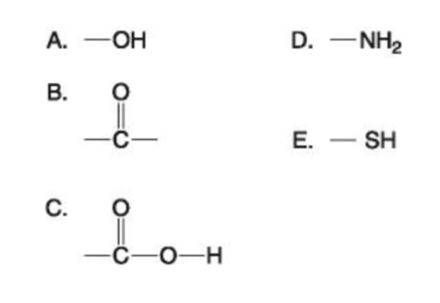 <p>C. Carboxyl</p>