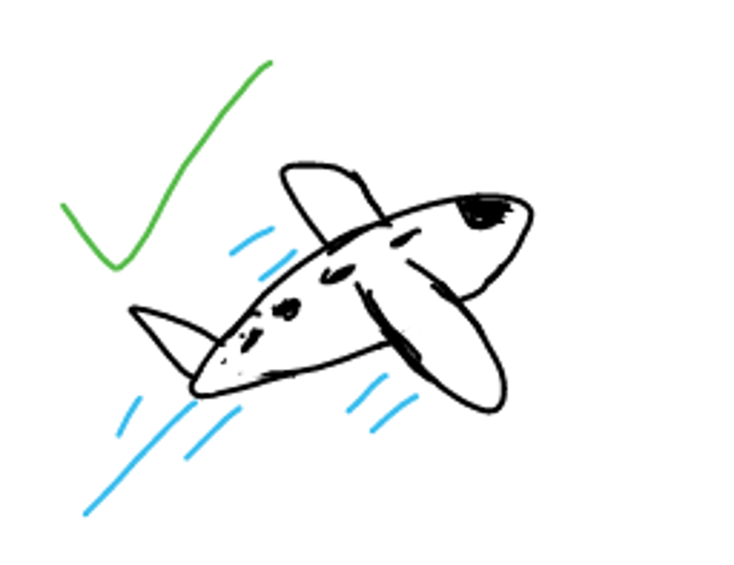 <p>to confirm a flight</p>