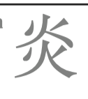term image