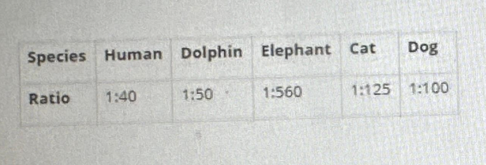 <p>During a study of various animals, researchers measured the brain-to-body mass ratio to evaluate cognitive abilities across species. The table shows the ratios measured for several species. Which of the following animals has the largest brain mass compared to its body mass?</p>