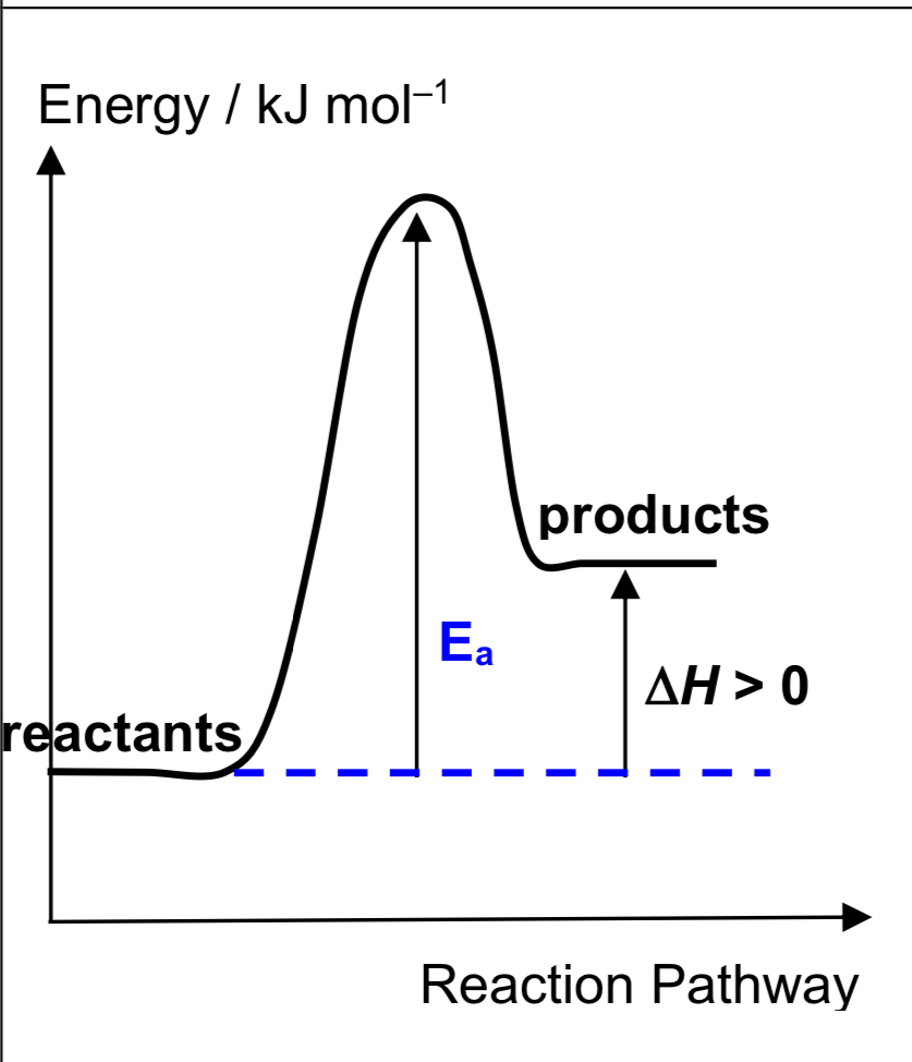 <ul><li><p><span>temperature of surroundings </span><strong>decreases</strong><span> in the process</span></p></li><li><p><span> </span><em><span>H</span></em><span>pdts &gt; </span><em><span>H</span></em><span>rxts  </span><em><span>H</span></em><span> &gt; 0 (+ve)</span></p></li><li><p><span>products are thermally </span><strong>less stable</strong> <span>than reactants</span></p></li></ul>