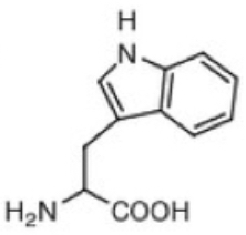 <p>Tryptophan (W)</p>