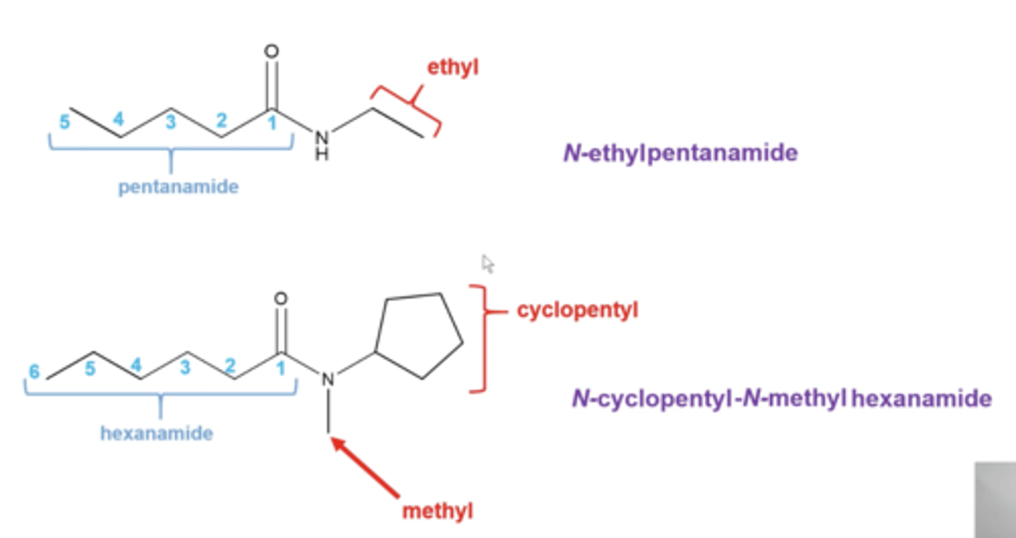 <p>follow the same pattern as esters except:</p><p>-any alkyl groups attached to the nitrogen gets listed as "N-methyl", "N-ethyl", "N-propyl", etc</p><p>-the parent chain starts at the C=O carbon and is counted moving away from the amide nitrogen</p><p>-replace "e" in the alkane name with "amide"</p>
