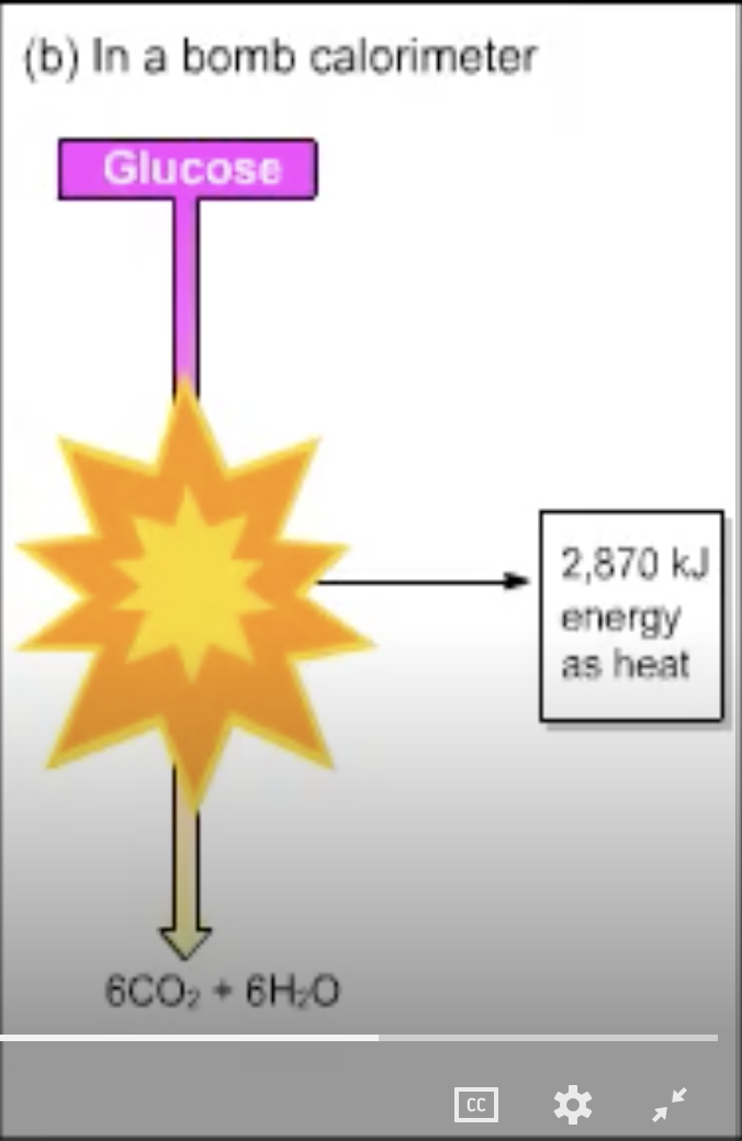 <p>Assuming the maximum number of ATPs are produced at pH 7 and in the presence of Mg<sup>2+</sup>, 1159 kJ of energy are stored as ATP.</p><p class="text">What is the percent efficiency?</p>