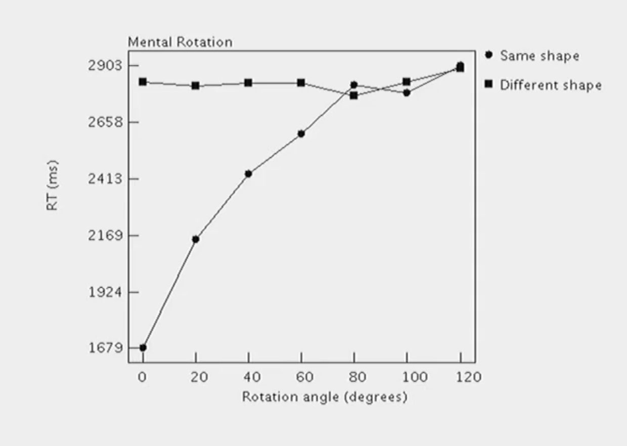 <p>In this experiment, two images are shown on a screen side by side. They are 2D images, but they are meant to represent 3D shapes.</p><p></p><p>The two images are rotated at different angles. Participants are then asked to figure out if those two shapes are the same. The time it takes them to figure this out is measured (ie. the dependent variable).</p><p></p><p>The results show that when the shapes are the same, the time it takes people to figure out if they’re the same or not gradually increases as the angle of rotation increases.</p><p></p><p>However, when the shapes are not the same, the time is takes people to figure out if they’re the same or not is much slower than when the shapes are the same, and the reaction time is the same regardless of the angle of rotation.</p>