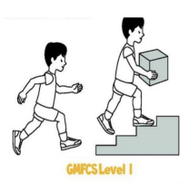 <ul><li><p>level I </p><ul><li><p>patient will walk&nbsp;without restrictions but will have limitations in more advanced gross motor skills</p></li></ul></li></ul><p></p>