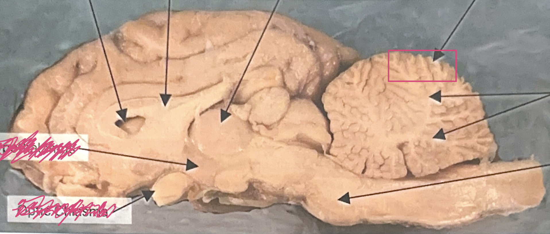 <p>What is this highlighted figure?</p>