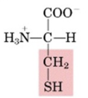 <p>What’s this aminoacid?</p>