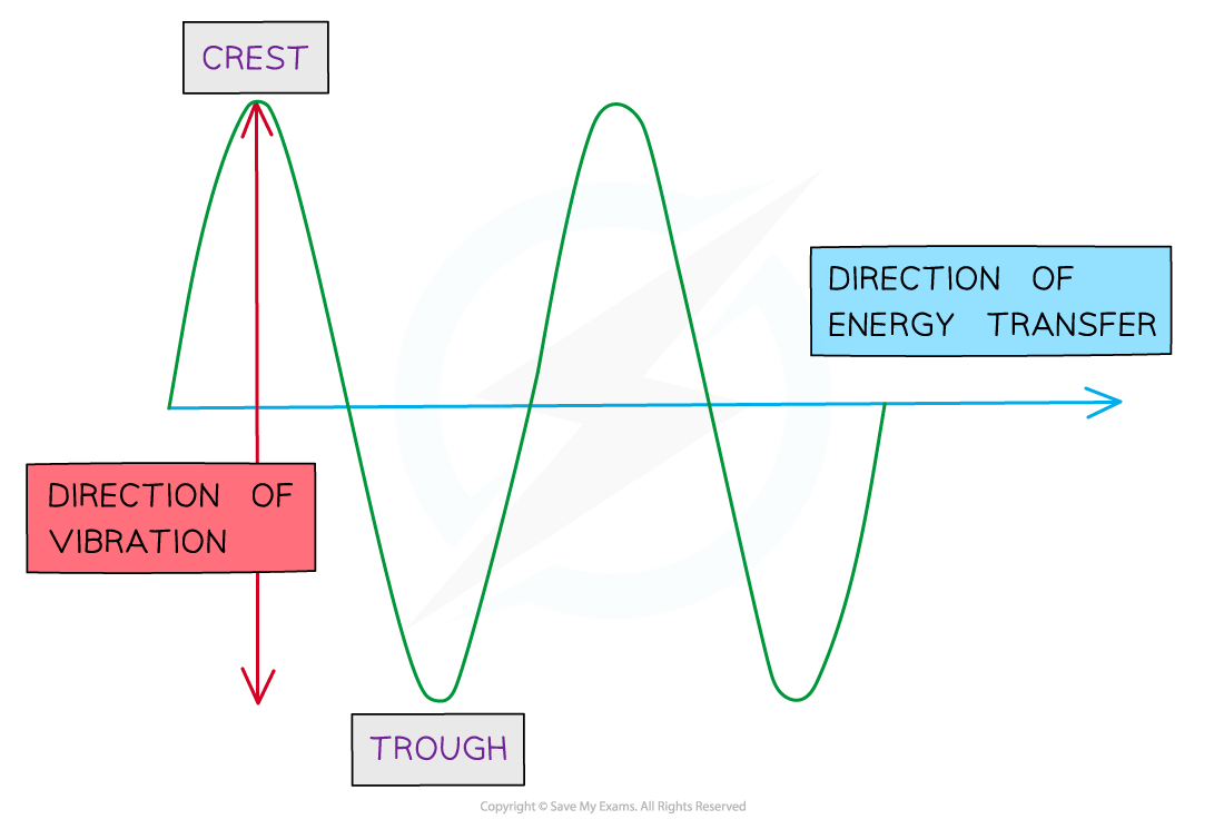 <p>Transverse wave: <span><strong>A wave in which the particles oscillate perpendicular to the direction of the wave travel (and energy transfer)</strong></span></p><p>Transverse waves show areas of&nbsp;<span><strong>crests&nbsp;</strong></span>(peaks) and&nbsp;<span><strong>troughs</strong></span></p><p>Examples of transverse waves: Electromagnetic waves e.g. radio, visible light, UV, Vibrations on a guitar string</p><p>Transverse waves shown on&nbsp;<span><strong>rope, can</strong></span>&nbsp;be polarised</p>
