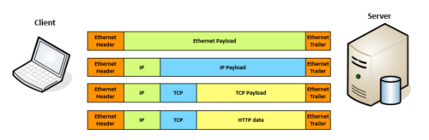 <p>• Efficiently move large amounts of data</p><p>- Use a shipping truck</p><p>• The network topology is the road</p><p>- Ethernet, DSL, cable system</p><p>• The truck is the Internet Protocol (IP)</p><p>- We've designed the roads for this truck</p><p>• The boxes hold your data</p><p>- Boxes of TCP and UDP</p><p>• Inside the boxes are more things</p><p>- Application information</p>