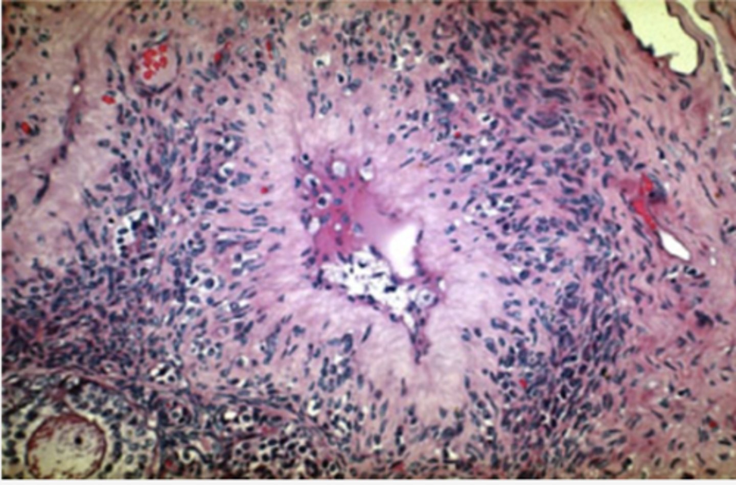 <p>Identify the structure</p>