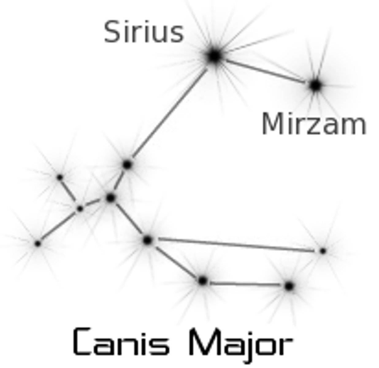 <p>big dog / brightest star: Sirius (α CMa)</p>