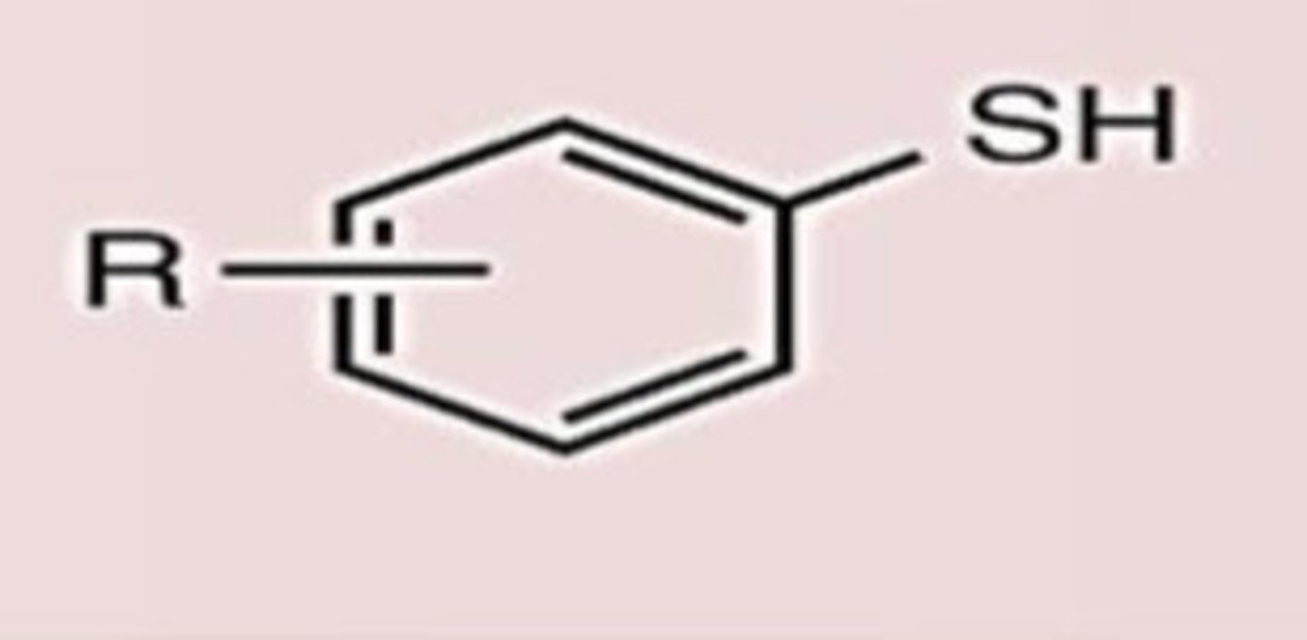<p>Conj. Acid</p>