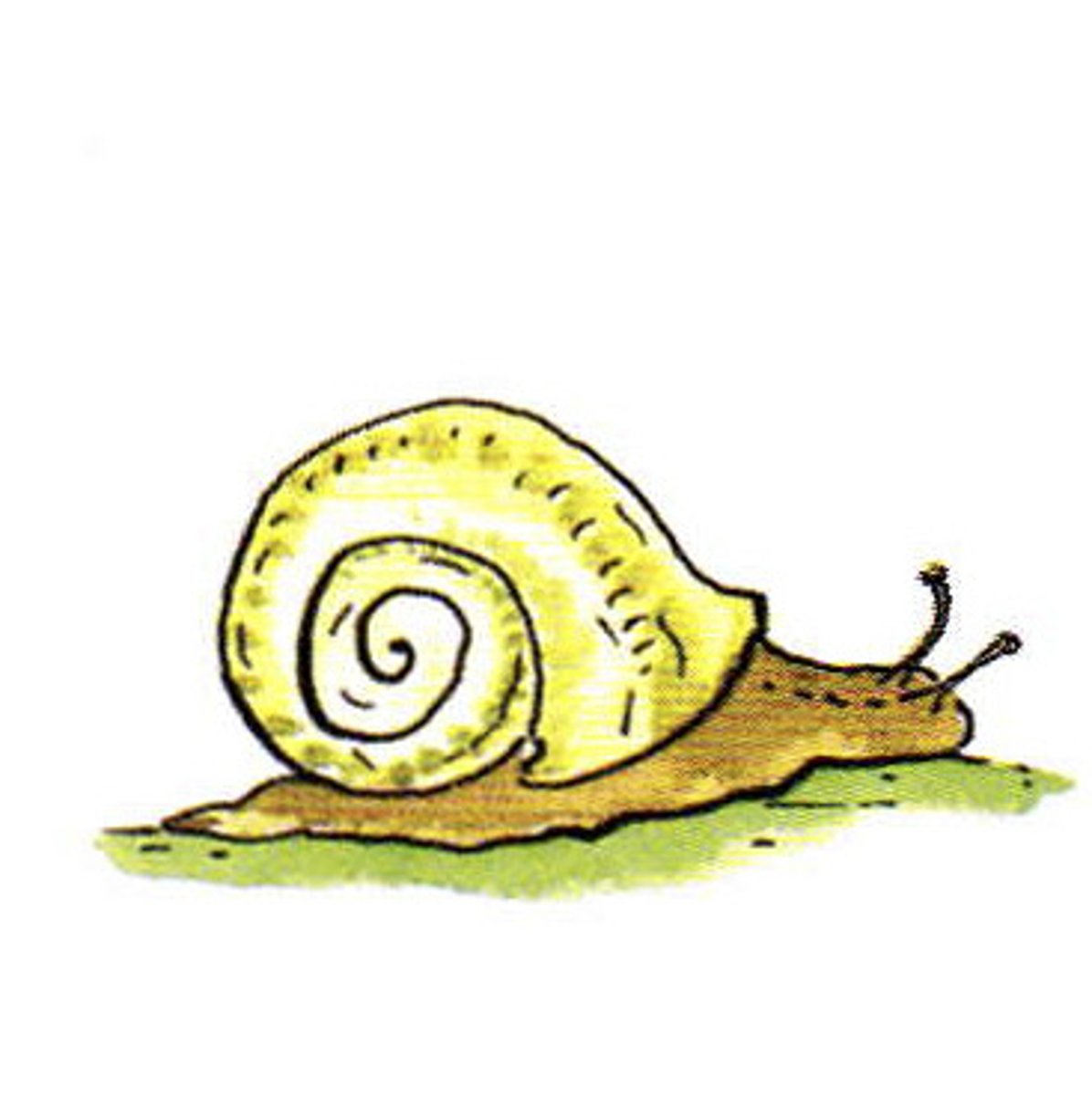 <p>lėtas</p>