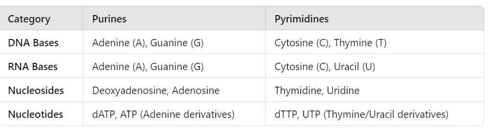 <p>Helpful table for DNA/RNA bases and nucleosides/nucleotides</p>