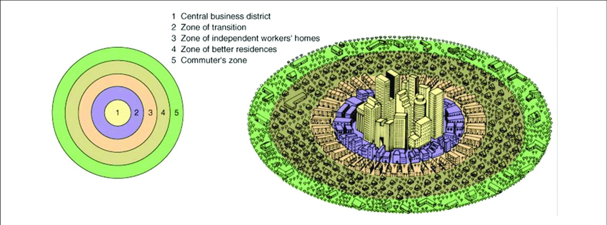 <p>concentric zone model</p>