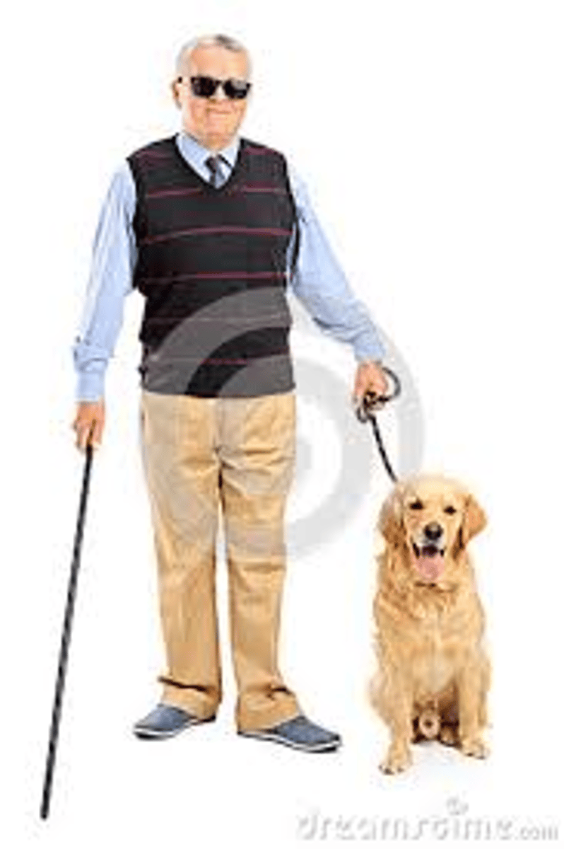 <p>mángrén (n.)- blind person</p>