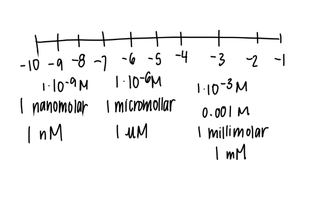 <p>1 × 10 ^ -3</p><p>milli-molar </p>