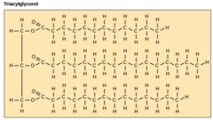 <p>triglycerides</p><p>(AKA: triacylglycerols)</p>