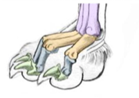 <ul><li><p>2 surfaces</p></li><li><p>convex in one direction</p></li><li><p>concave in the other at right angles to the first</p></li><li><p>eg DIP (distal interphalangeal)  joint</p></li></ul><p></p>