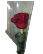 <p>What is its physiological maturity and commercial maturity?</p>