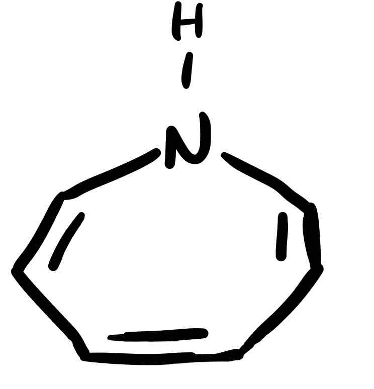 <p>7 ring (with one H on N)</p>