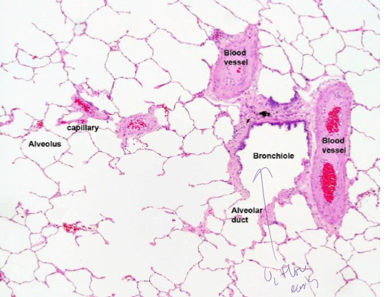 <p>What is this?</p>