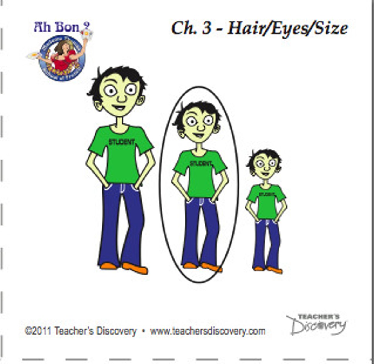 <p>height, size, waist</p>