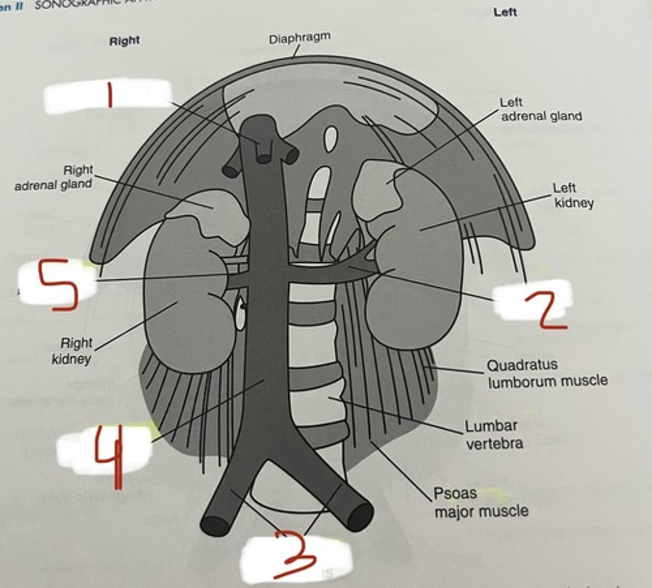 <p>1</p>