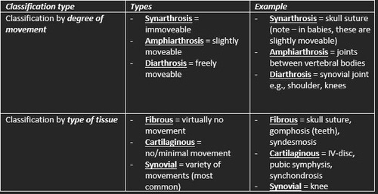 <p>1) Classification by degree of movement</p><p>2) Classification by type of tissue</p>