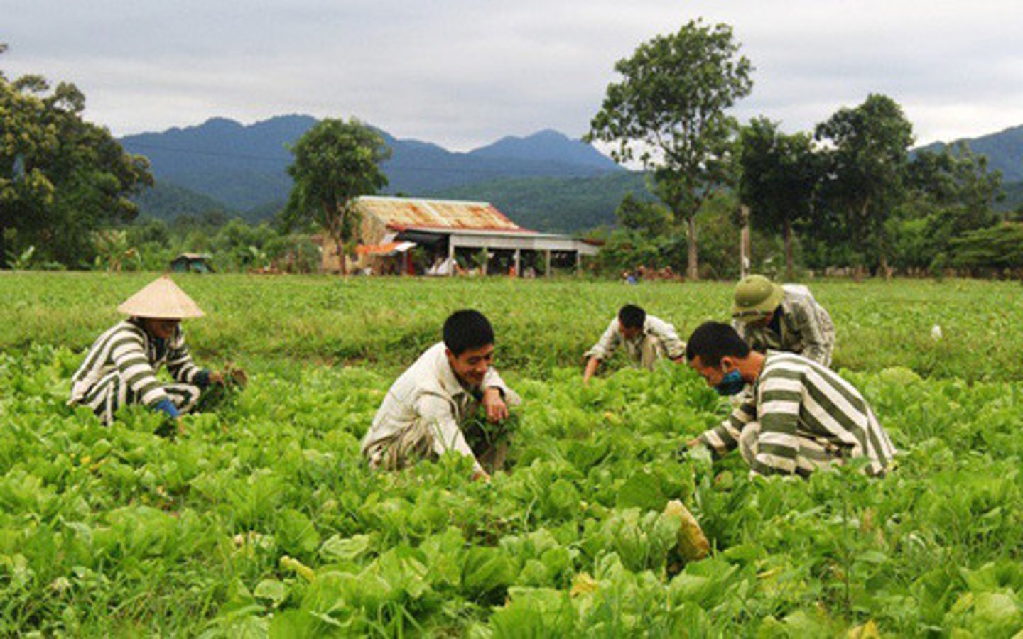 <p>(n) Programmes which help people to overcome problems so they can avoid committing crimes in future. (Chương trình cải tạo)</p>
