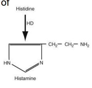 <p><strong>decarboxylation </strong>of <strong>histidine </strong></p>