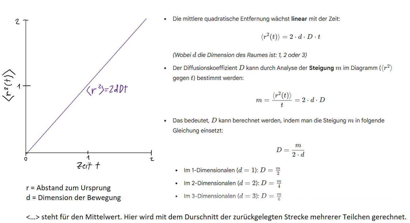 <p>Auf diese Formel kommt man dadurch, dass die zurückgelegte Strecke einer Glockenkurve entspricht und man durch einen Koeffizientenvergleich die Standardabweichung ermitteln kann; da die <strong>Varianz </strong><span><strong><span>$$\sigma^2$$</span></strong></span> dieser Verteilung physikalisch der <strong>mittleren quadratischen Verschiebung </strong><span><strong><span>$$\langle x^2 \rangle$$</span></strong></span> entspricht, ergibt sich nach dem Auflösen direkt der lineare Zusammenhang $$\langle x^2 \rangle = 2Dt$$</p>