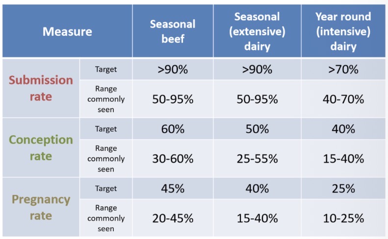 <p>This PowerPoint got too many slides so stop ur screenshot hating fr </p>
