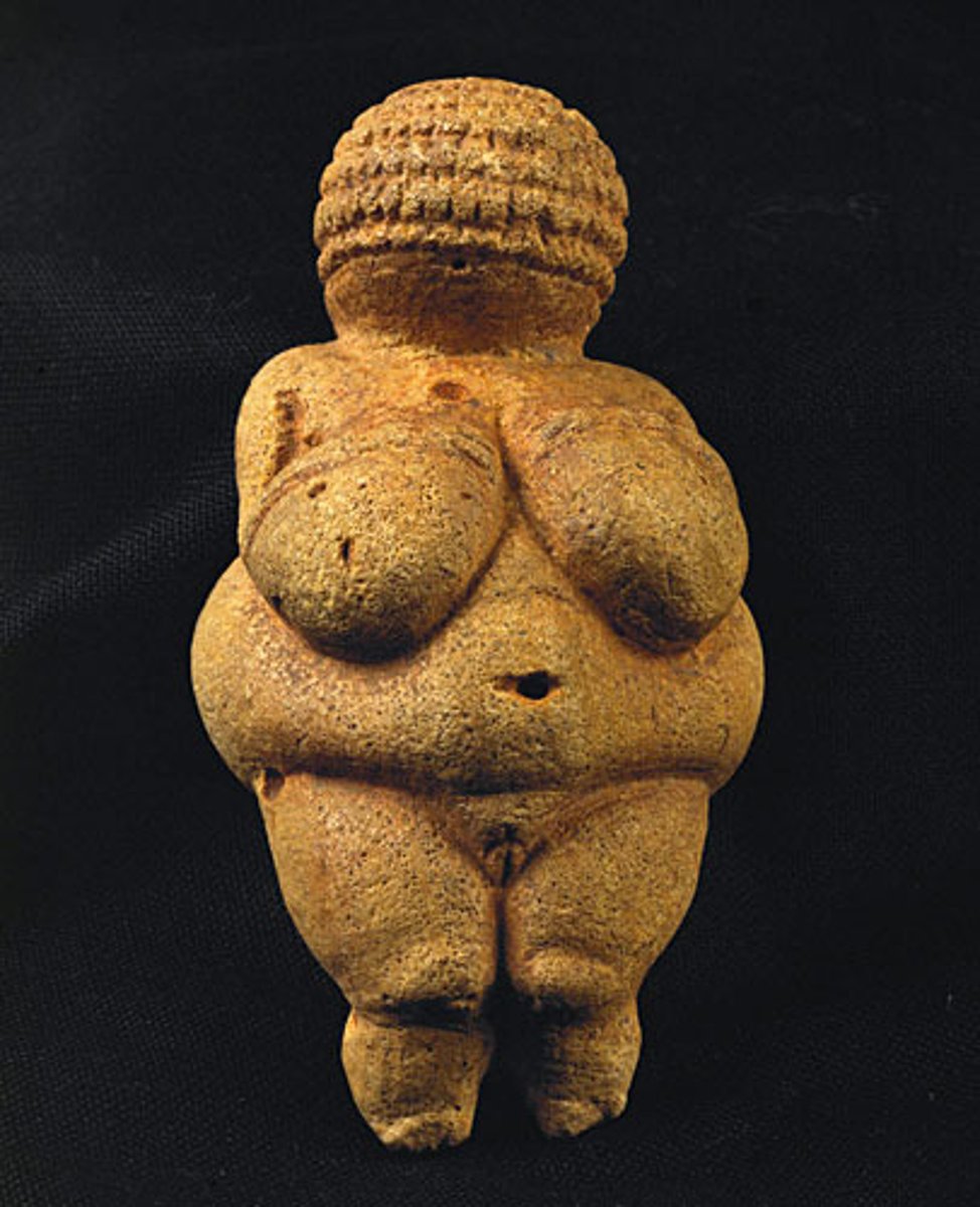 <p>AUSTRIA.</p><p>Paleolithic</p><p>- Upper Paleolithic period</p><p>- Sculpture made from Limestone</p><p>- Austria</p><p>- Symbolic of health and fertility</p><p>- Believed to be the desired body type</p><p>- Motherhood/Fertility</p><p>from about 24,000 BCE (see "The Power of Naming" opposite).</p><p>-Carved from limestone and originally colored with red ocher</p><p>-The sculptor exaggerated the figure's female attributes by giving it pendulous breasts, a big belly with a deep navel (actually a natural indentation in</p><p>the stone), wide hips, and dimpled knees and buttocks.</p>